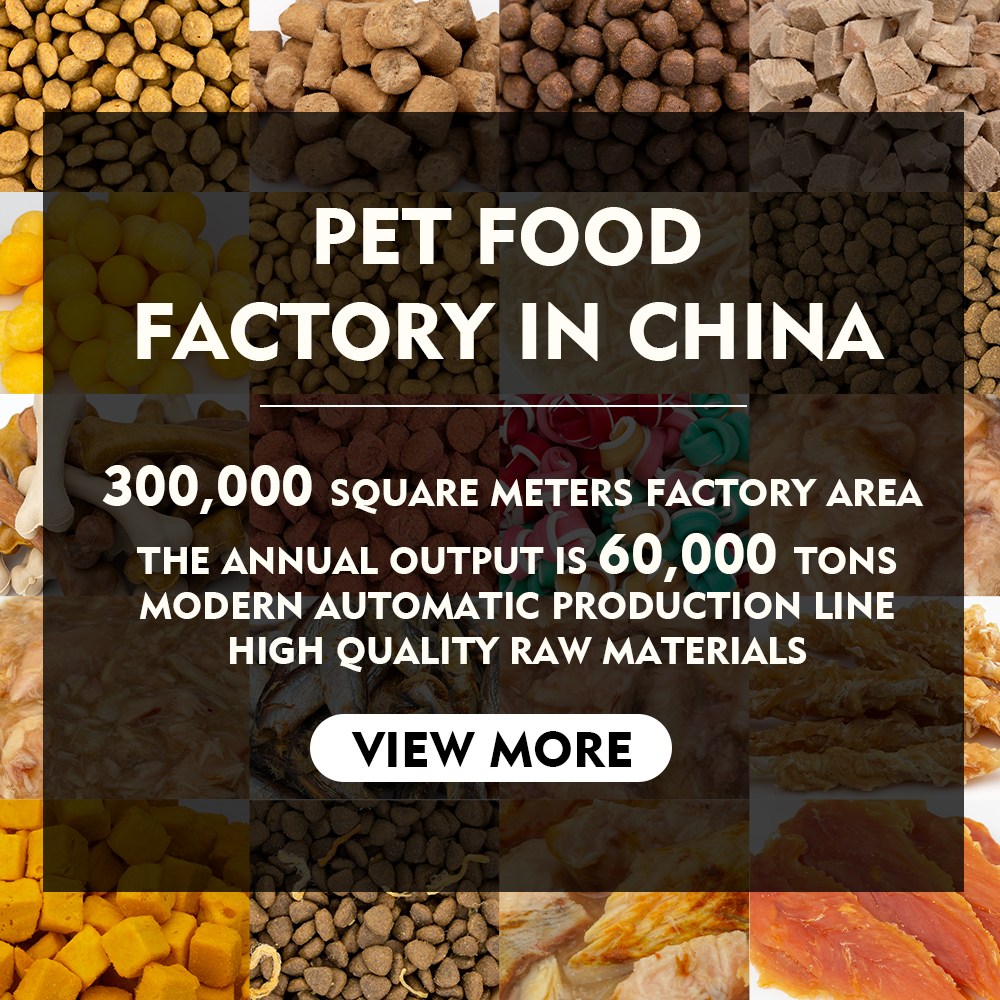 Wholesale Manufacturing unit OEM Excessive-Protein Pure Premium Dry Canine Meals in Bulk